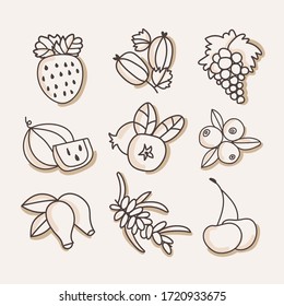 Beeren auf isoliertem Hintergrund. Beeren-Symbole: Erdbeeren, Heidelbeeren, Cranberries, Wassermelone, Trauben, Oblepiha. Lineare Zeichnung, schwarz-weiß. Vitamine und ökologische Erzeugnisse. Vektorgrafik.