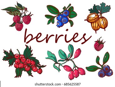 berries set on a white background ,hand graphics , cherries , currants,raspberries
