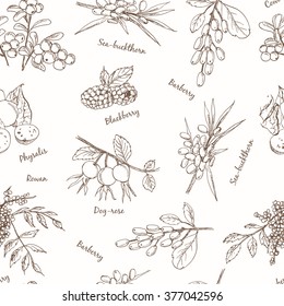 Berries set seamless pattern. Useful for restaurant identity, packaging, menu design and interior decorating.