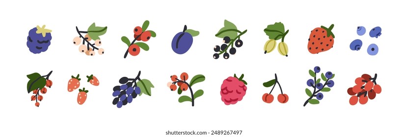 Berries set. Strawberry, blackberry, black and red currant, blueberry, bilberry, raspberry, cherry, grape branch, plum, gooseberry fruits. Flat vector illustration isolated on white background