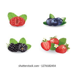Berries set. vector illustration