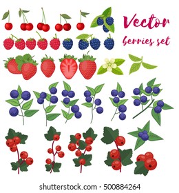 Berries Set Vector Illustration. Strawberry, Blackberry, Blueberry, Cherry, Raspberry, Red currant. Berries and their Combinations Set