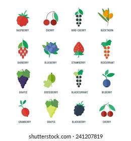 Berries set of vector objects, elements, icons for web and apps design in flat style