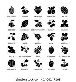 berries silhouette icons business analysis vector set design elements berries fresh healthy products vegetables fruits food vegan vector line icons money commerce logistics search vector symbols set