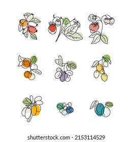  berries sketch isolated vector illustration set