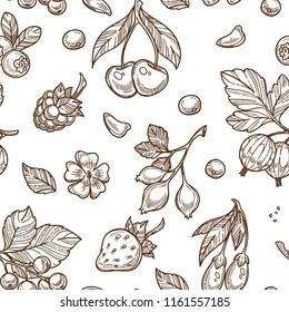 Berries sketch pattern vector seamless background
