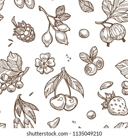 Berries sketch vector seamless pattern background