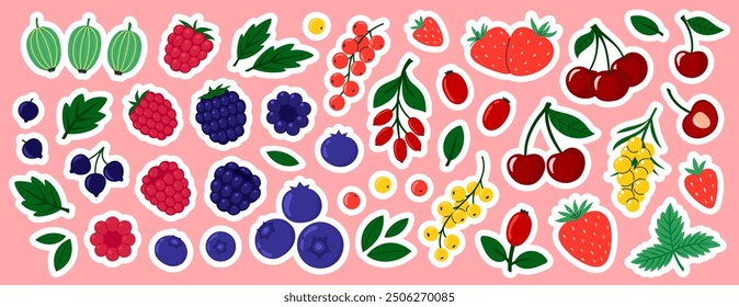 Conjunto de pegatinas de bayas. Cereza, grosella negra, frambuesa, grosella, arándano, mora, fresa, agracejo, espino cerval de mar. Fresca baya jugosa de verano. Ilustración vectorial plana aislada