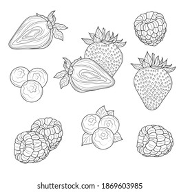 Berries. Strawberries, raspberries and blueberries.Coloring book antistress for children and adults. 
Sketch.Zen-tangle style.Black and white drawing