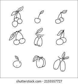 berries stroke vector illustration