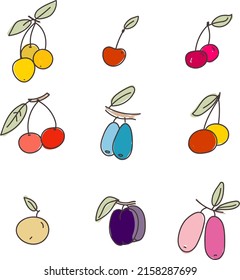 berries stroke vector illustration