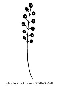 Berries. Vector clipart. Hand drawn	
