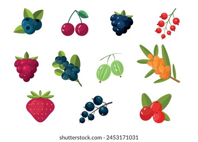 Berries vector flat design. Berries icons. 