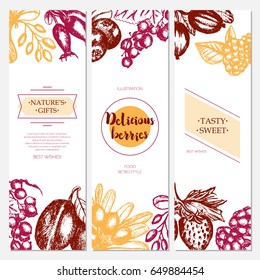 Berries - vector hand drawn banner templates set with copy space. Realistic barberry, blackberry, wild strawberry, gooseberry, sweet cherry, dog rose, cloudberry, sea-buckthorn, plum, red currant.