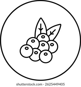 Icono de Vector de bayas. Se puede utilizar para aplicaciones de impresión, móviles y de Web.