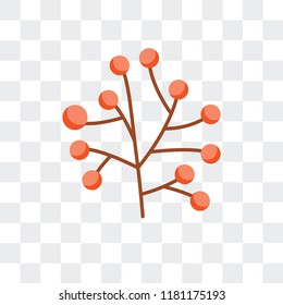 Berries vector icon isolated on transparent background, Berries logo concept