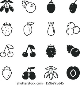 berries vector icon set such as: jam, mulberry, briar, tea, juice, exotic, spanish fruit, cornel berry, prune, raspberry, market, dogwood, cornelian, one, wild, nutrient, flesh, bright