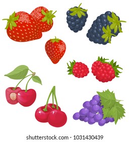 berries, vector illustration