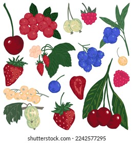 Colección de ilustraciones vectoriales de Berries. Fresa, frambuesa, arándano, arándano, grosella, grosella blanca, arándanos verdes, cereza. Clásicos de estilo moderno aislados de fondo blanco.