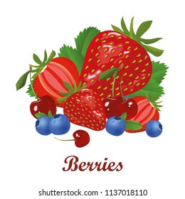 Berries vector illustration isolated on white background. Strawberry, blueberry, cherry background template