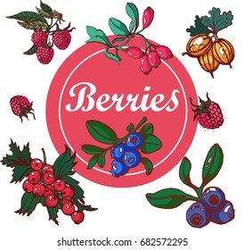 berries ,vector illustration set colored ,raspberry,blueberry, gooseberry , currant