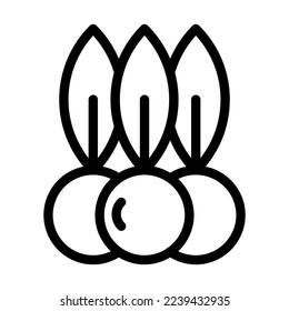 Berries Vector Line Icon Design