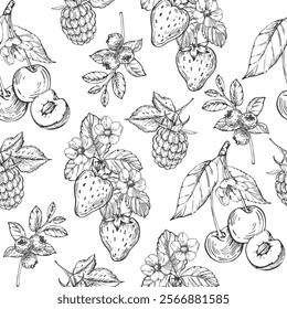 Berries vector seamless pattern hand drawn in ink. Strawberry, cherry, raspberry and blueberry background.Template for design of textiles, wrapping paper and labels
