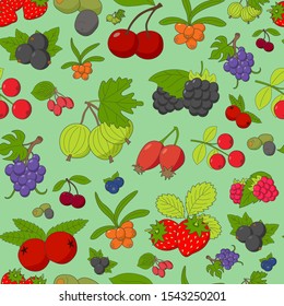 Berry background - Vector color seamless pattern of strawberry, raspberry, cherry, blueberry, cloudberry, dogrose and cranberry for graphic design