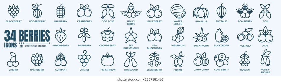 Berry and berries elements - minimal thin line web icon set. Outline editable icons collection. Simple vector illustration.