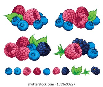  Berry berries Illustration hand draw vector. Group of blueberry, leaves, berries, raspberry, blackberry collection. Isolated on white background. Berry fruits.