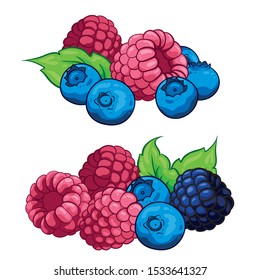 Berry berries Illustration hand draw vector. Group of Cranberry, blueberry, leaves, berries, raspberry, blackberry collection. Isolated on white background. Berry fruits.