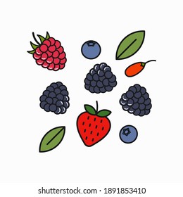 Berry blend logo. Raspberry, blueberry, blackberry and goji berries on white background