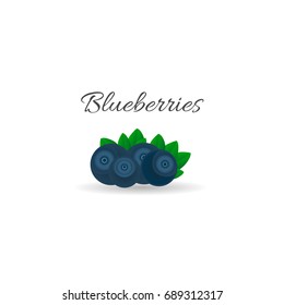 Berry Blueberry.Vector illustration