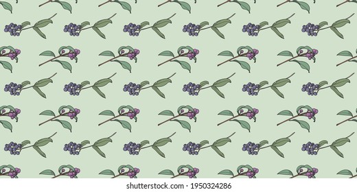Berry botanical illustration vector pattern background, autumn wallpaper with berries