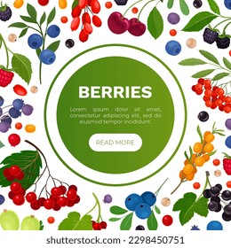 Berry Branch Banner Design with Sweet Tasty Garden Crop Vector Template