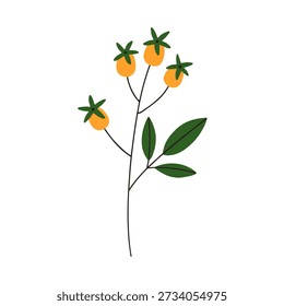 Ramo de baga com folha. Frutas exóticas tropicais abstratas com folhas, galho botânico. Elemento de design natural decorativo, decoração de enchimento de buquê. Ilustração vetorial plana isolada no fundo branco