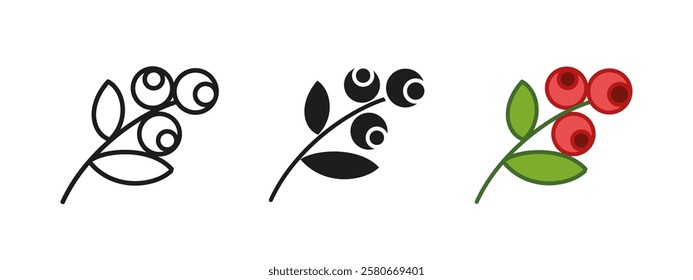 Berry branch twig icon. Natural plant vector illustration. Organic fruit symbol. Autumn garden sign. Wild botanical concept. Herbal decorative graphic. Cranberry branch pictogram. Red currant twig.