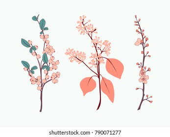 Berry Branch Vector Element Set