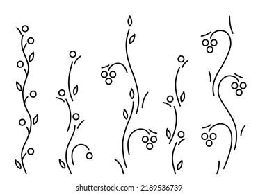 Berry bushes and vines isolated on white background. Line art style. Stylized berries, grape and plants for gardening, eco design, wine labels, food package or other use. Vector illustration. Set.