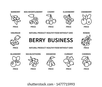 Berry business natural product healthy food linear icons without GMO price design elements quality delicious fresh useful vegetables fruits vegan money commerce logistics search vector symbol set