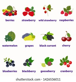 berry cards for learning English
