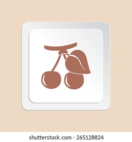 Berry Cherry vector icon 