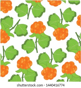 Berry cloudberry pattern on white background is insulated