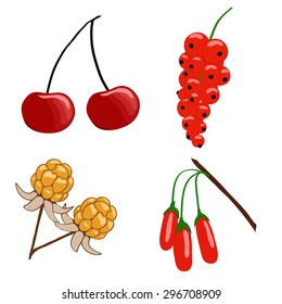 berry collection. Isolated on white background. Vector illustration.