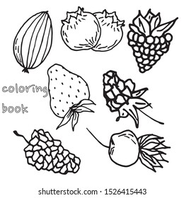 Berry color hand drawn vector set. Fruit botany illustration. Berries engraving doodle sketch line.Dessert ingredient.Great for web page background, wrapping paper, cards,notebook and invitation
