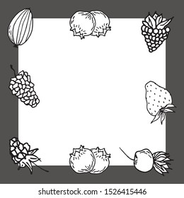 Berry color hand drawn vector set. Fruit botany illustration. Berries engraving doodle sketch line.Dessert ingredient.Great for web page background, wrapping paper, cards,notebook and invitation