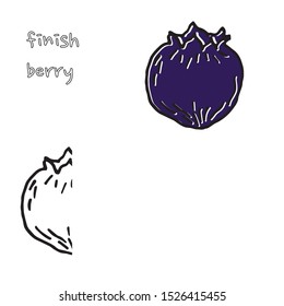 Berry color hand drawn vector set. Fruit botany illustration. Berries engraving doodle sketch line.Dessert ingredient.Great for web page background, wrapping paper, cards,notebook and invitation