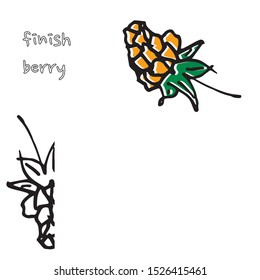 Berry color hand drawn vector set. Fruit botany illustration. Berries engraving doodle sketch line.Dessert ingredient.Great for web page background, wrapping paper, cards,notebook and invitation