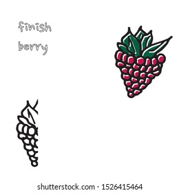 Berry color hand drawn vector set. Fruit botany illustration. Berries engraving doodle sketch line.Dessert ingredient.Great for web page background, wrapping paper, cards,notebook and invitation