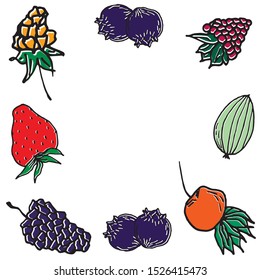 Berry color hand drawn vector set. Fruit botany illustration. Berries engraving doodle sketch line.Dessert ingredient.Great for web page background, wrapping paper, cards,notebook and invitation